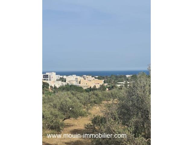 Photo TERRAIN LORA Hammamet Nord Mrezka T1031 image 2/2