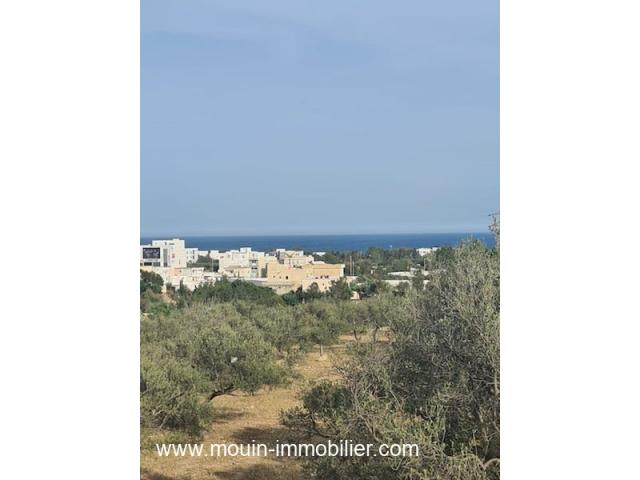 Photo TERRAIN LORA I Hammamet Nord Mrezka T1031 image 2/2