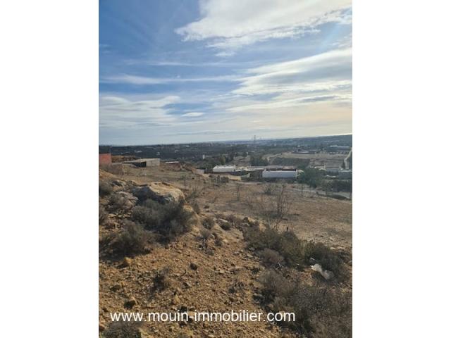 Photo Terrain Monchar 1 T1066 Hammamet image 2/3
