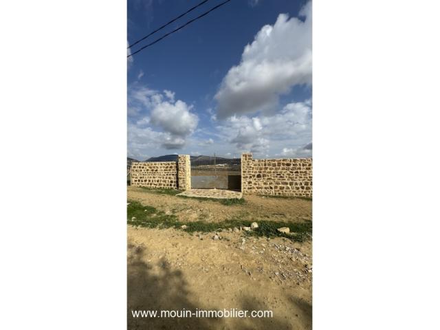 Photo TERRAIN MZIRAA Hammamet Birbouregba T1024 image 2/5