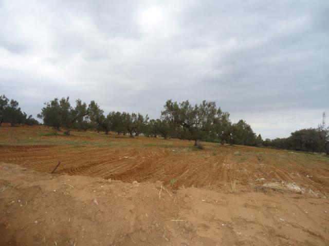 Photo Terrain Ociana image 2/4