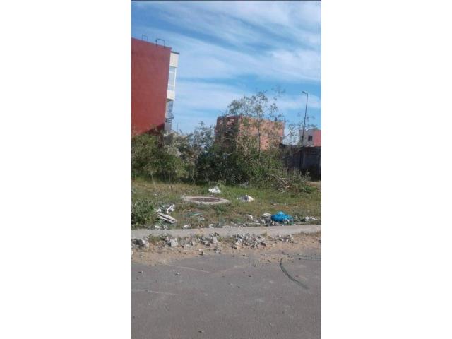 Photo terrain R plus 4 260 m2 A  Kenitra image 2/4