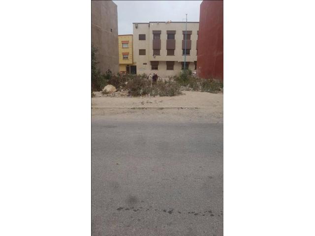 Photo terrain R plus deux sidi moussa image 2/2