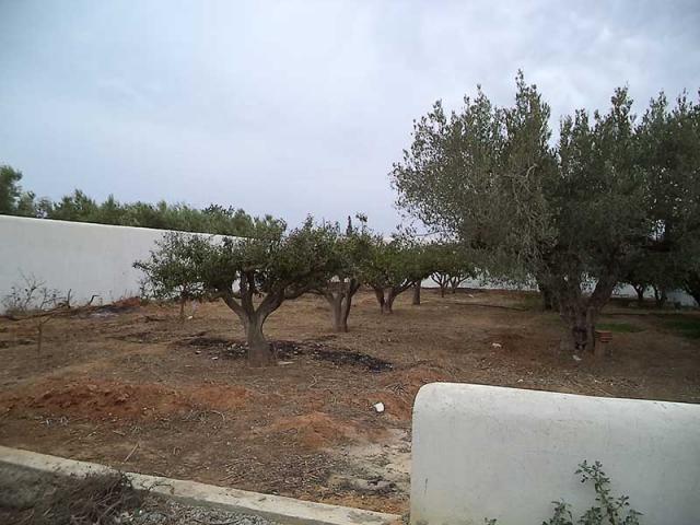 Photo TERRAIN RIMI image 2/2