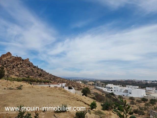 Photo TERRAIN RUBY Hammamet Sud El Monchar T1079 image 2/4