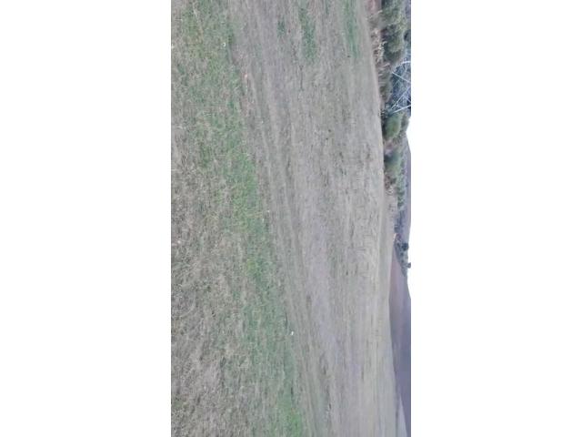 Photo Terrain rural de 6 hectares image 2/2