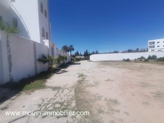 Photo TERRAIN SYLVIA Hammamet Route Ceinture T934 image 2/3