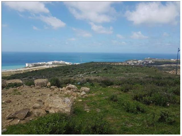 Photo Terrain Titré 2 Hectares  Vue Sue Mer à Nouinouiche image 2/4