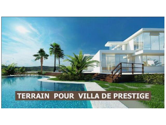 Photo Terrain titré de 2 ha idéale pr projet de villas sr la Rte d Ourika image 2/2