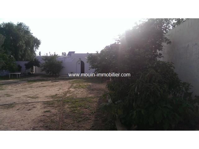 Photo Terrain Zen ref T273 Hammamet Nord image 2/2