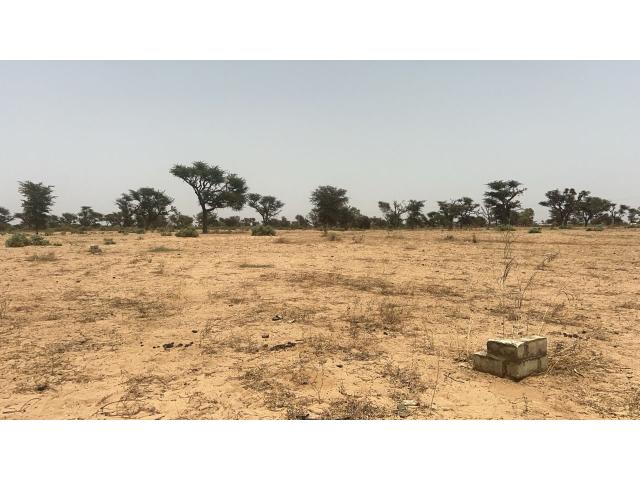 Photo Terrains 225 mètres carrés à vendre à Malicounda, Sénégal image 2/5