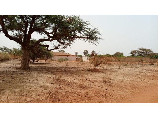 Photo Terrains 225 mètres carrés à vendre à Malicounda Sénégal image 2/4