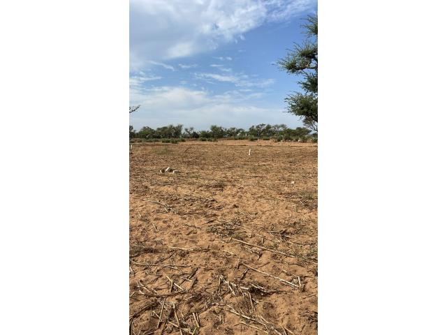 Photo Terrains 300 mètres carrés à vendre à Malicounda Sénégal image 2/4