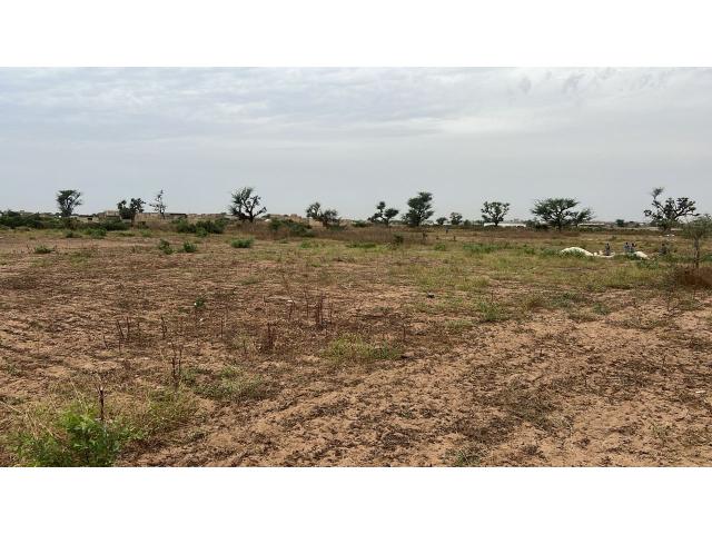 Photo Terrains 300 mètres carrés à vendre à Malicounda Sénégal image 2/5