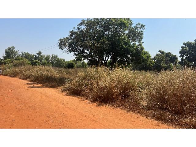 Photo Terrains 300 mètres carrés à vendre à warang Sénégal image 2/3