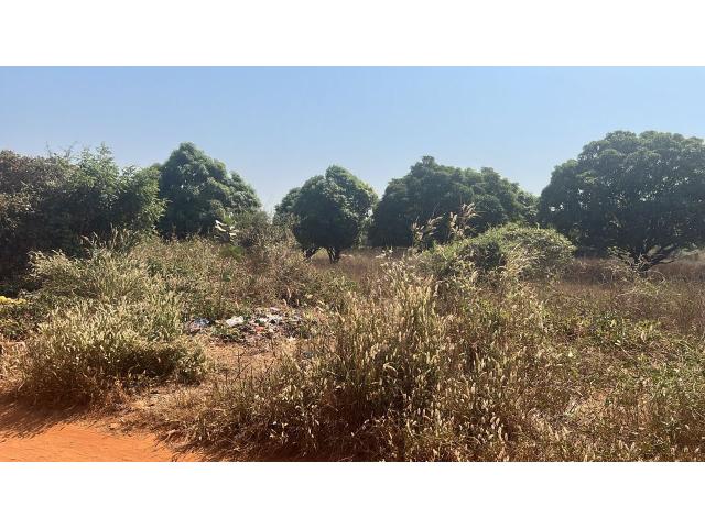 Photo Terrains 300 mètres carrés à vendre à Warang Sénégal image 2/4