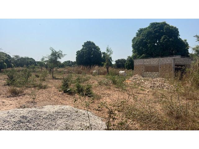 Photo Terrains 300 mètres carrés à vendre à Warang  Sénégal image 2/4