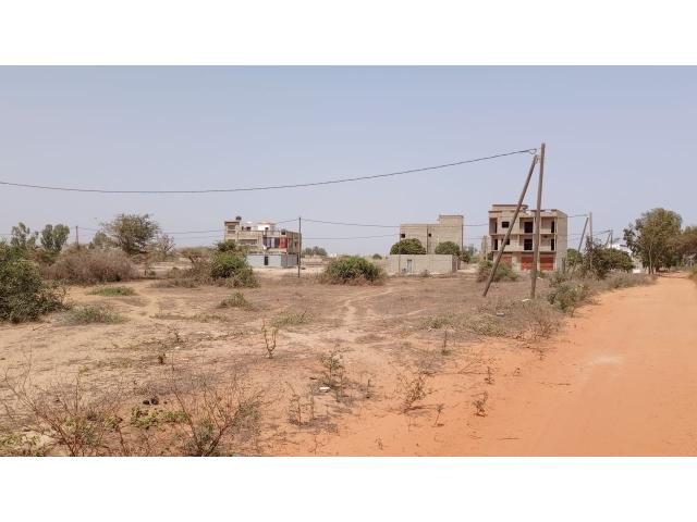 Photo Terrains de 150 mètres carrés à vendre à Saly Sénégal image 2/3