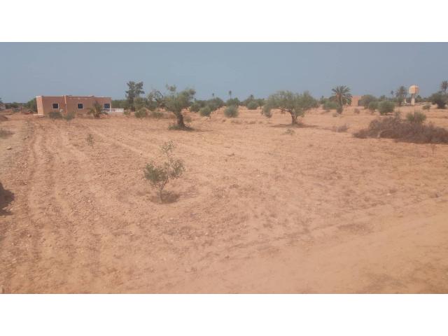 Photo Terrains de 1500m² À Djerba Bazim image 2/2