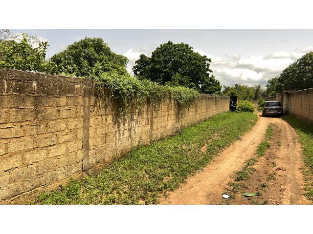Photo Terrains de 225 mètres carrés à vendre à Gandigal Sénégal image 2/4