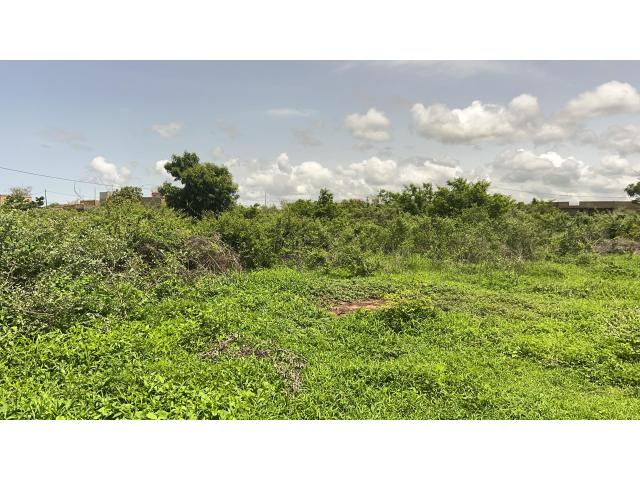 Photo Terrains de 225 mètres carrés à vendre à Gandigal Sénégal image 2/3