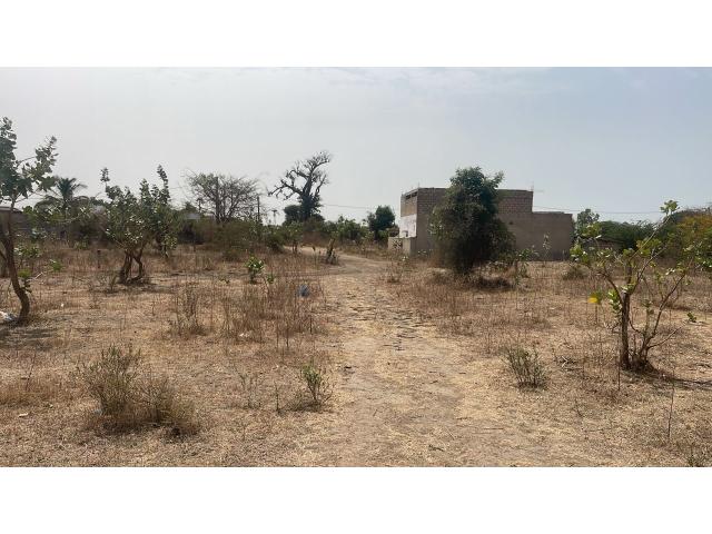 Photo Terrains de 300 mètres carrés à vendre à Mbodiène Sénégal image 2/4