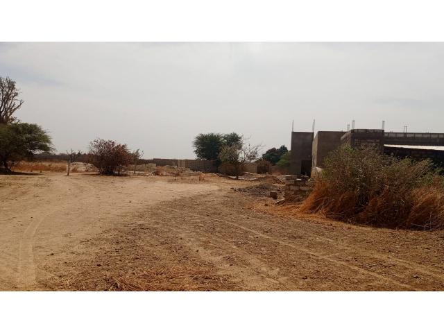 Photo Terrains de 300 mètres carrés à vendre à Ndiorokh Sénégal image 2/3