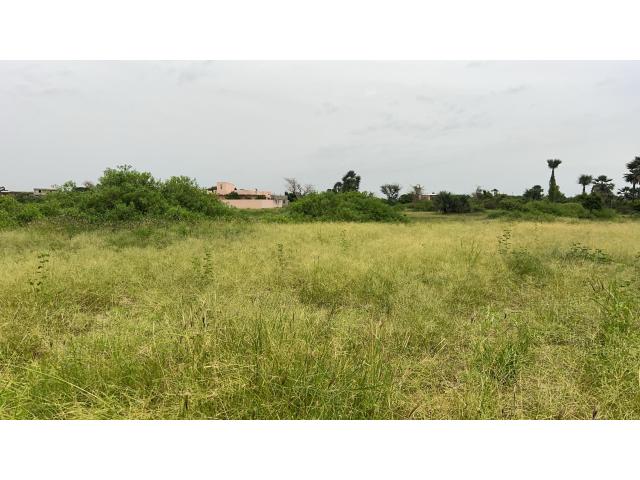 Photo Terrains de 300 mètres carrés à vendre à Saly Sénégal image 2/3