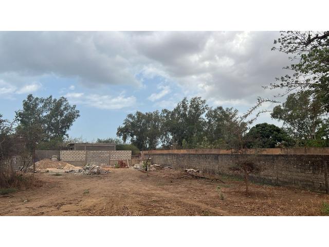 Photo Terrains de 300 mètres carrés à vendre à Saly Sénégal image 2/3
