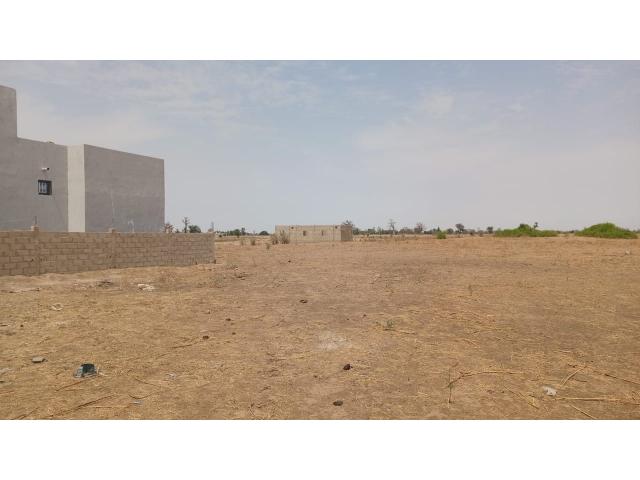 Photo Terrains de 300 mètres carrés à vendre à Sandiara Sénégal image 2/4