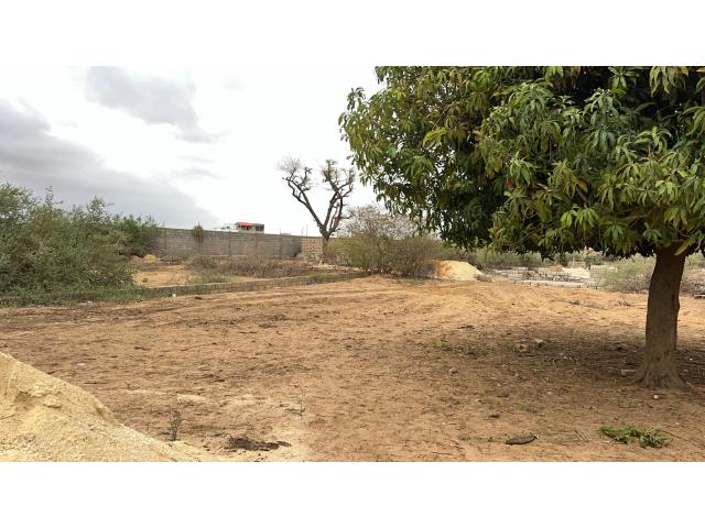 Photo Terrains de 450 mètres carrés à vendre à Saly Sénégal image 2/4