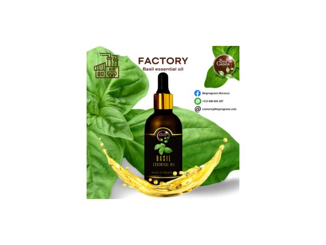 Photo The magic basil oil image 2/2