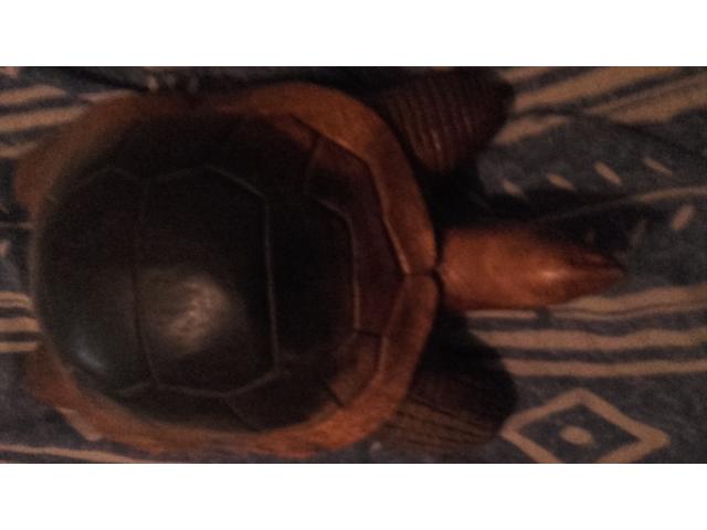 Photo Tortue en bois image 2/2