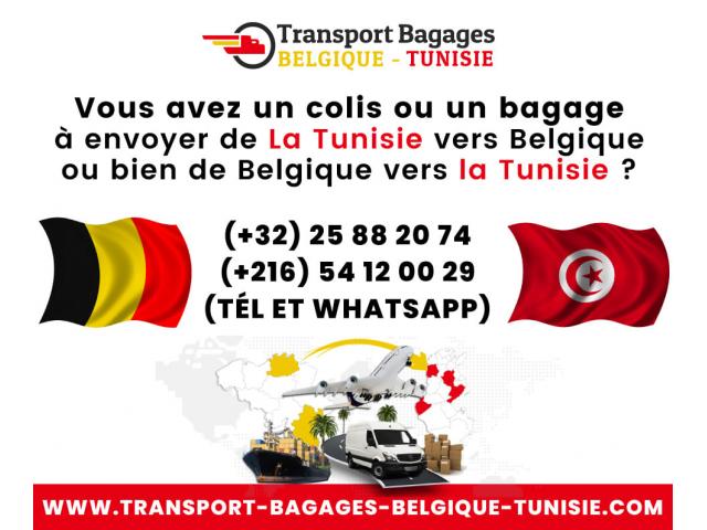 Photo Transport bagages Belgique Tunisie image 2/4