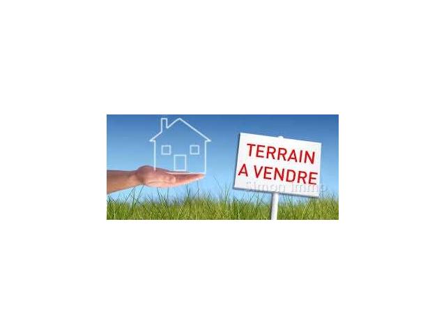 Photo Un magnifique terrain a vendre a chott meriam image 2/2