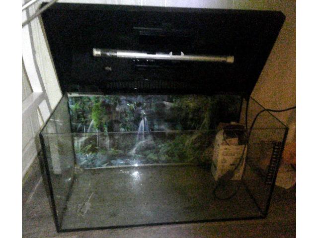 Photo vend aquarium avec filtre et chauffage image 2/2