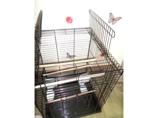 Photo vend cage nouvelle perruche image 2/2