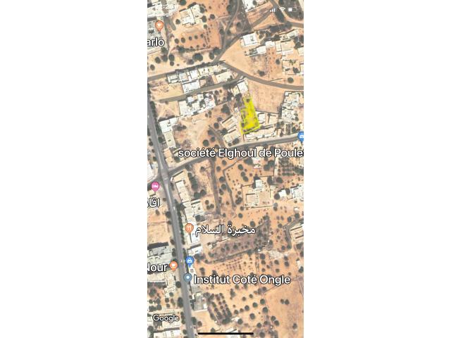 Photo VEND TERRAIN DJERBA, MIDOUN CENTRE image 2/5