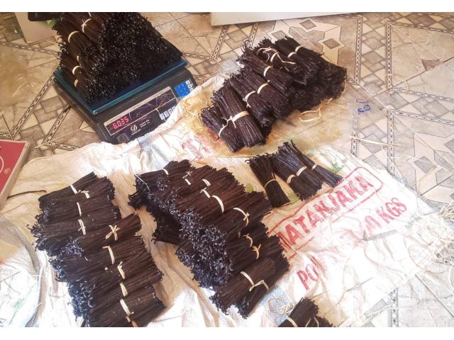 Photo Vente de  Gousse vanille de  Madagascar ( WhatsApp:+261325890998)) image 2/4