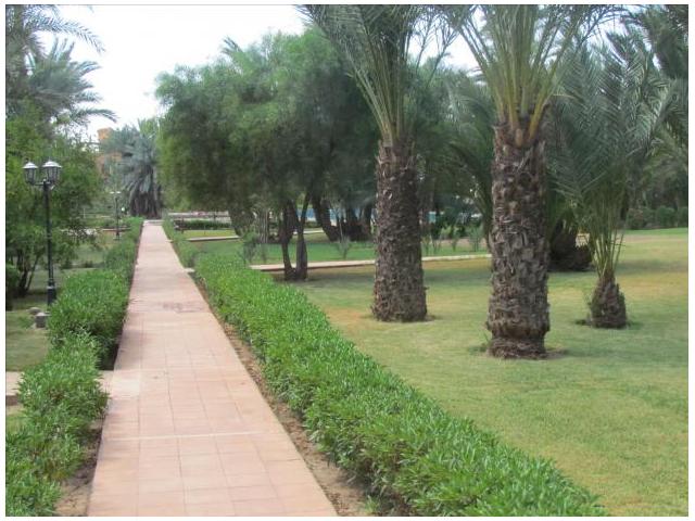 Photo vente magnifique appartement 80 M² palmeraie image 2/6