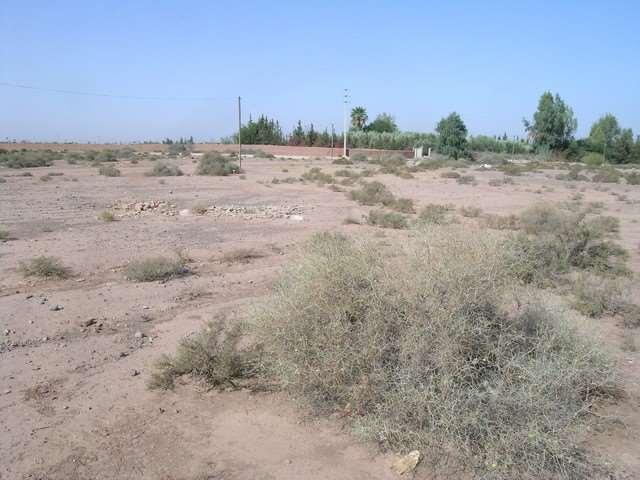 Photo vente terrain à 8 km de Marrakech image 2/2