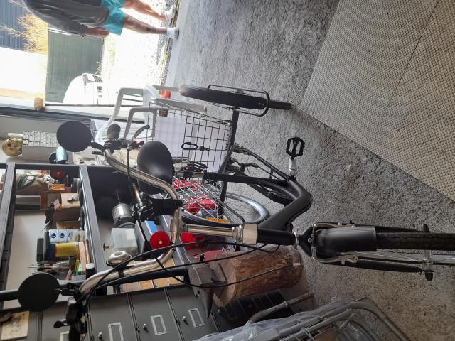 Photo Vente Tricycle adulte image 2/3