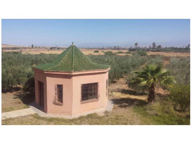 Photo vente une ferme agricole de 4 hectares image 2/6