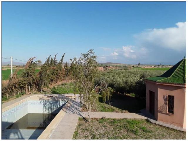 Photo vente une ferme de 4 hectares titrés ac villa image 2/6