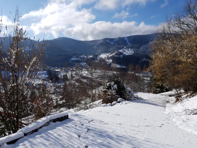 Photo VENTRON (Hautes-Vosges) Magnifique CHALET d'altitude, exposé plein SUD, offrant une vue dominante et image 2/6