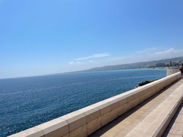 Photo VIAGER Proche Promenade des Anglais à Nice image 2/2