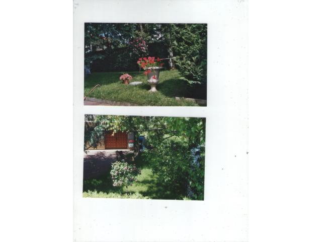 Photo VILLA  A VENDRE image 2/3