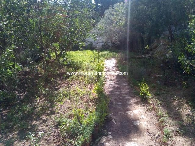 Photo Villa Atlas AV1148 Menzah 9 image 2/6