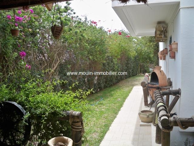 Photo villa aziza AL1346 hammamet nord image 2/6