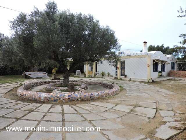 Photo VILLA CITRUS Hammamet Sud  AV1160 image 2/6